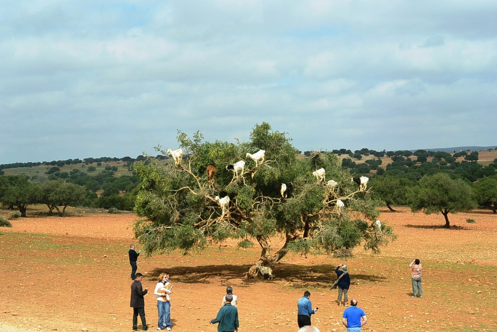 DSC_0954.JPG