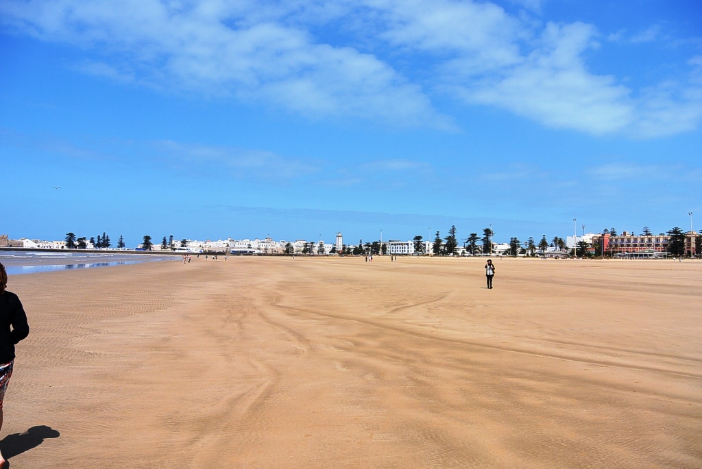 DSC_0960.JPG