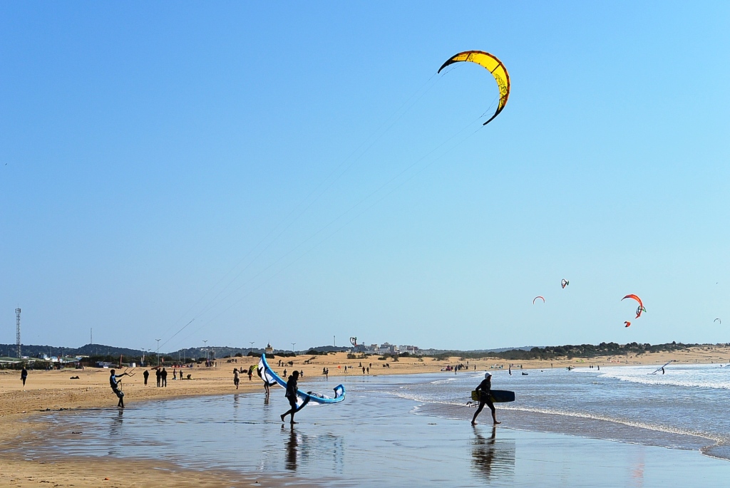 DSC_1041.JPG