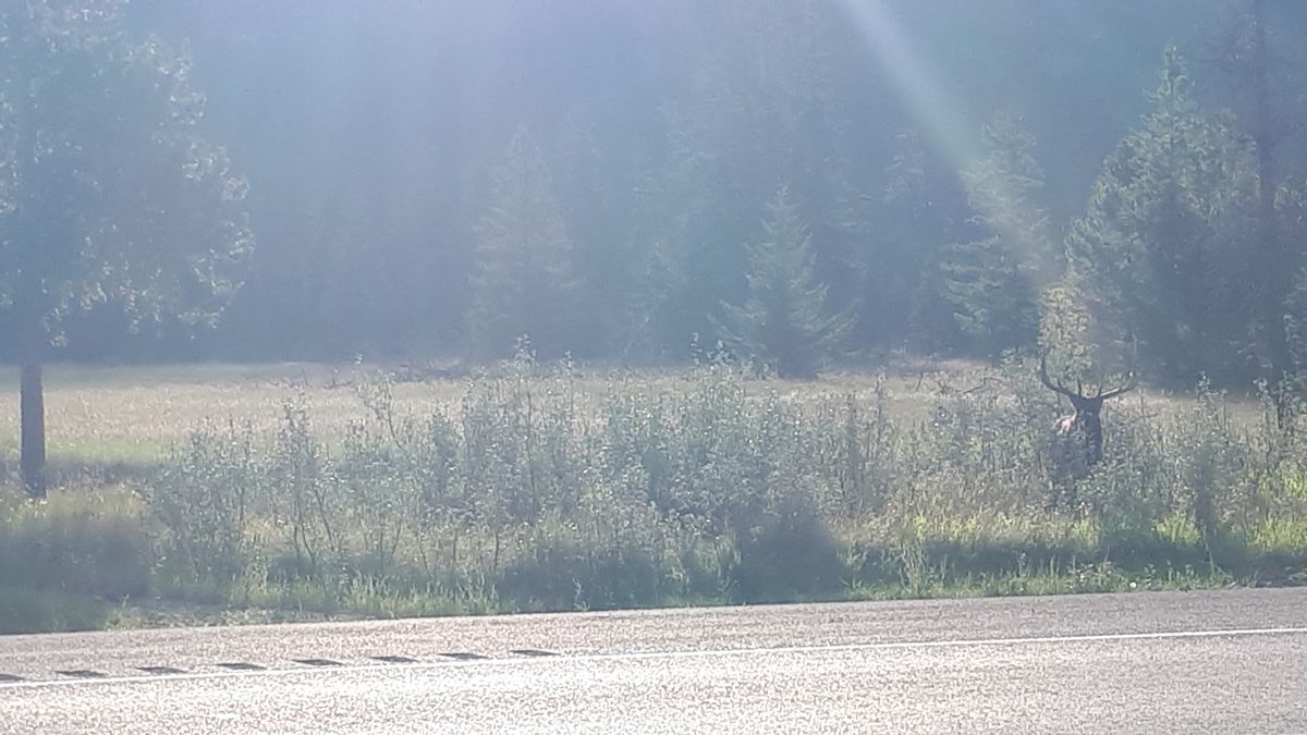 20190912_085753.jpg