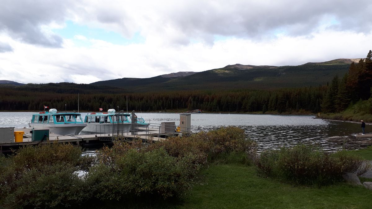 20190912_102509.jpg