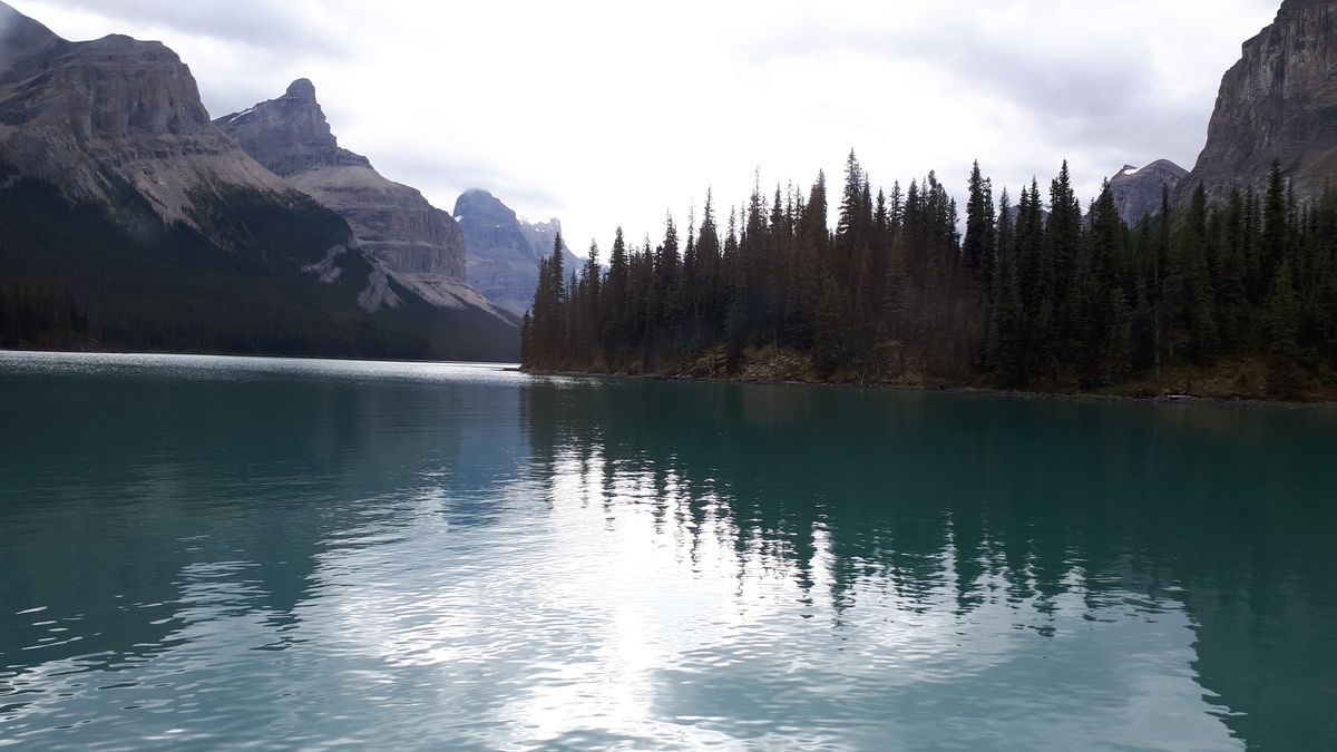 20190912_111802.jpg