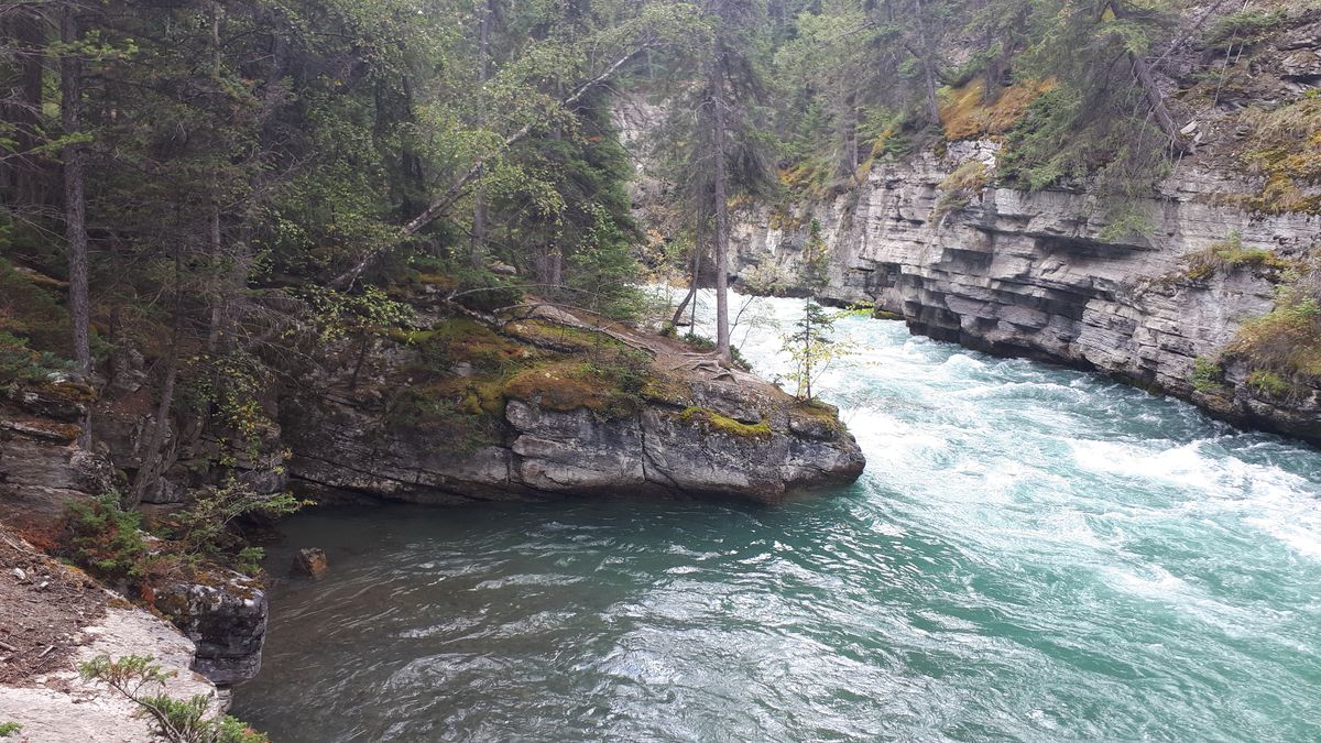 20190912_141957.jpg