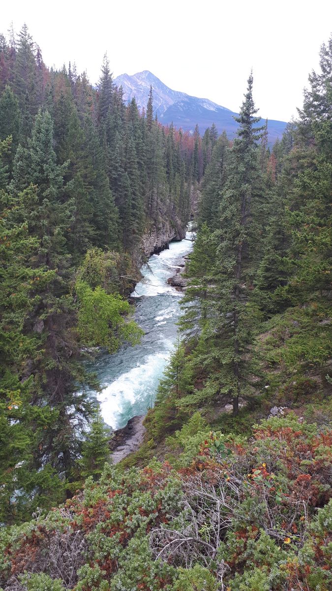 20190912_142656.jpg