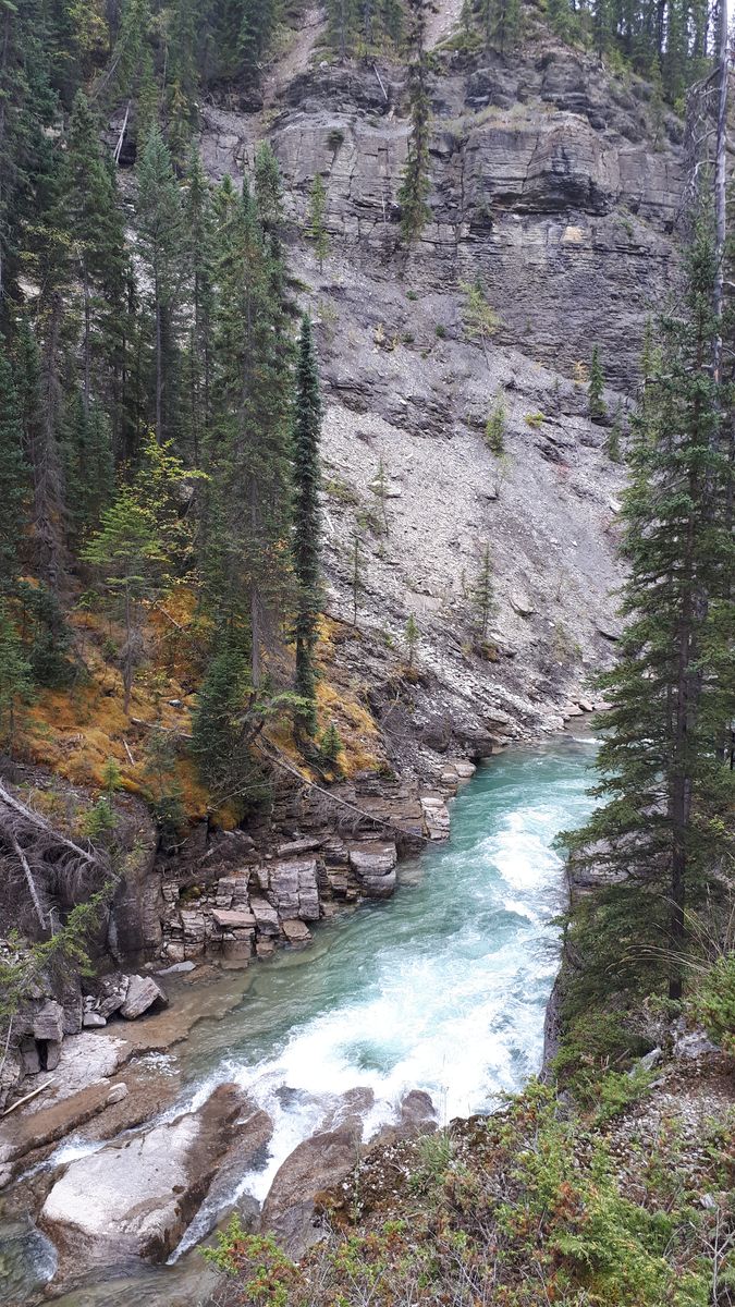 20190912_144258.jpg