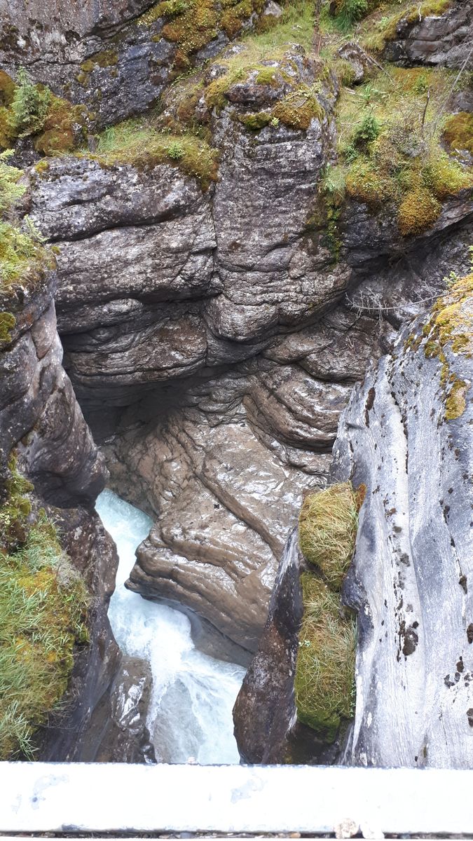 20190912_145333.jpg