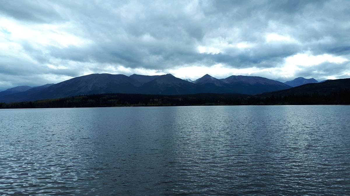 20190912_160125.jpg