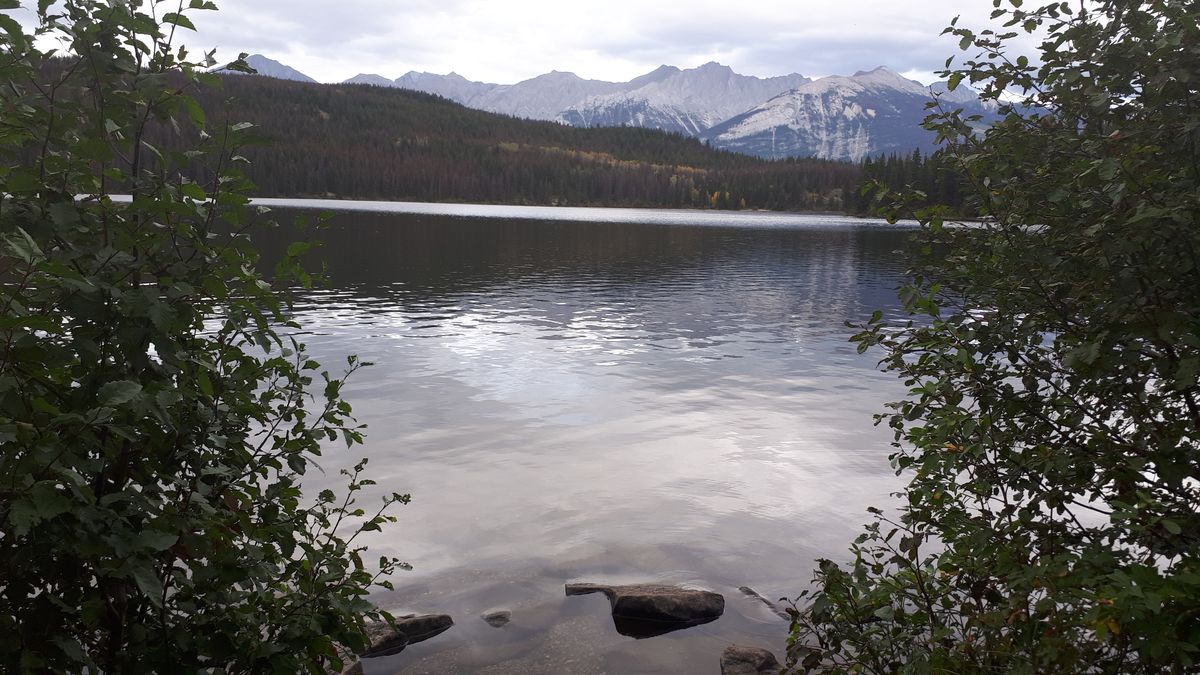 20190912_161019.jpg