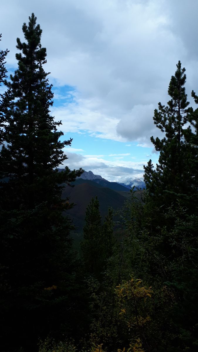 20190913_104759.jpg