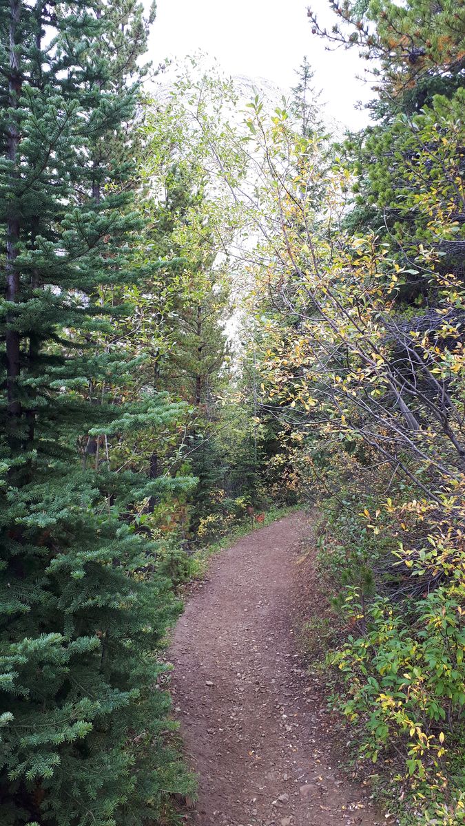 20190913_104803.jpg