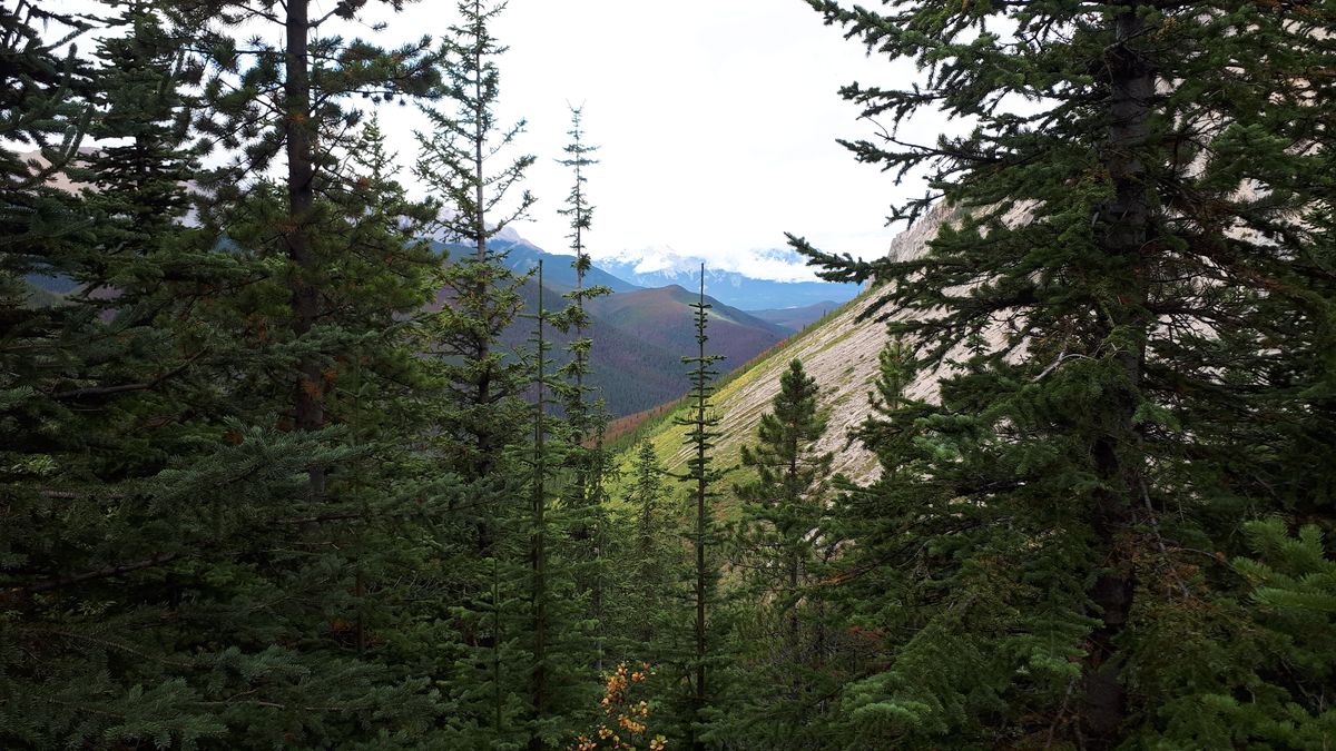 20190913_104946.jpg