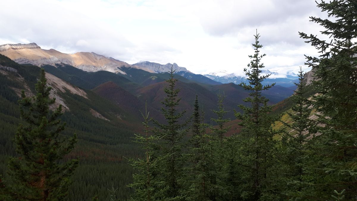 20190913_105516.jpg