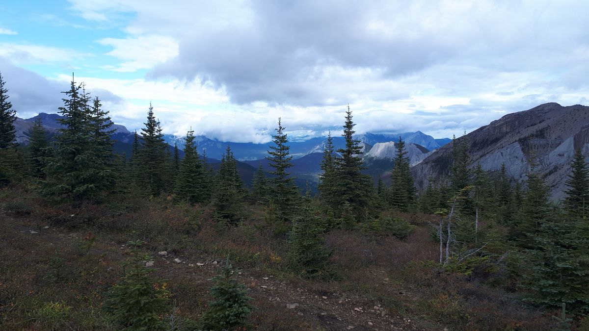 20190913_111659.jpg