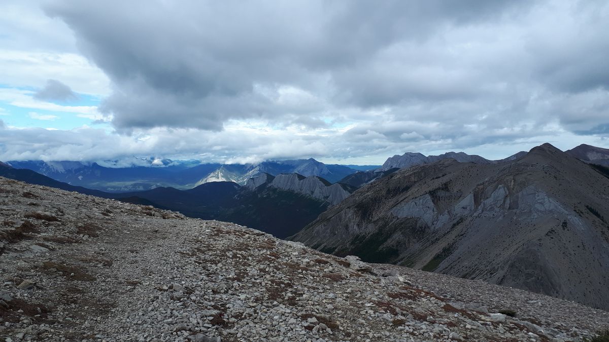 20190913_113922.jpg
