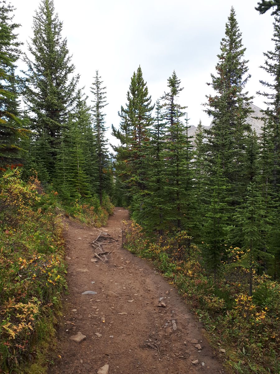 20190913_123217.jpg