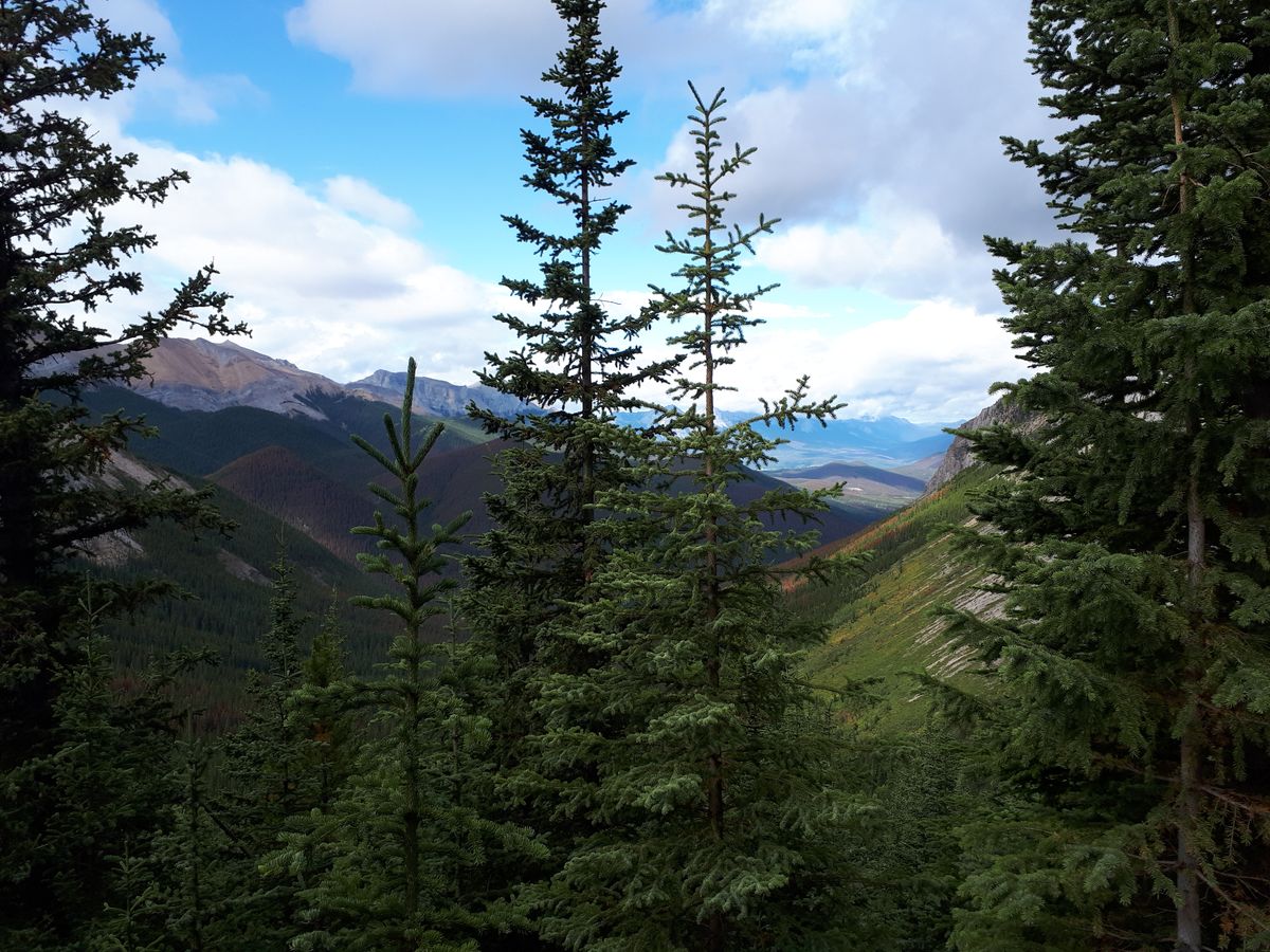 20190913_124300.jpg