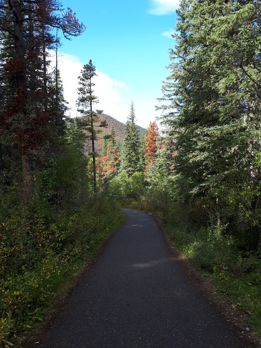 20190913_131938.jpg