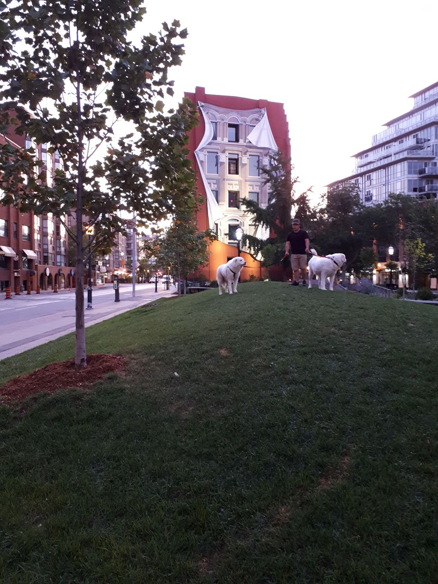 20190915_064918.jpg