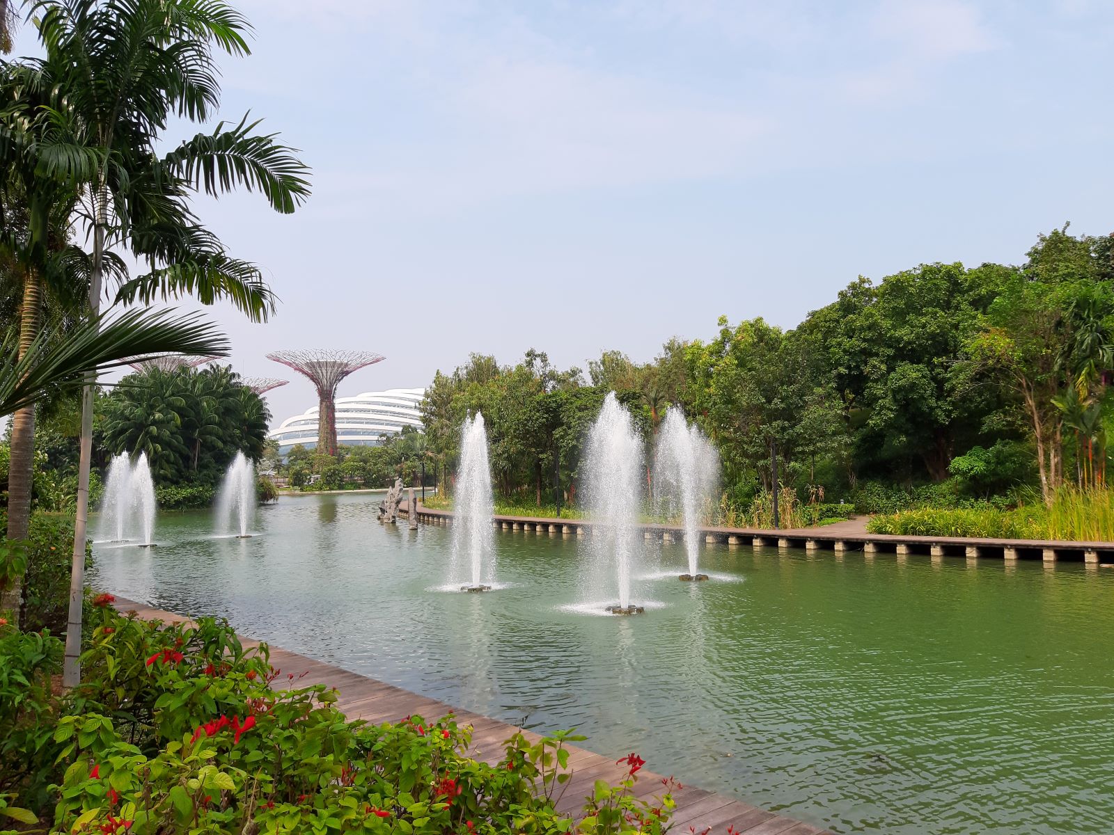 Park.jpg