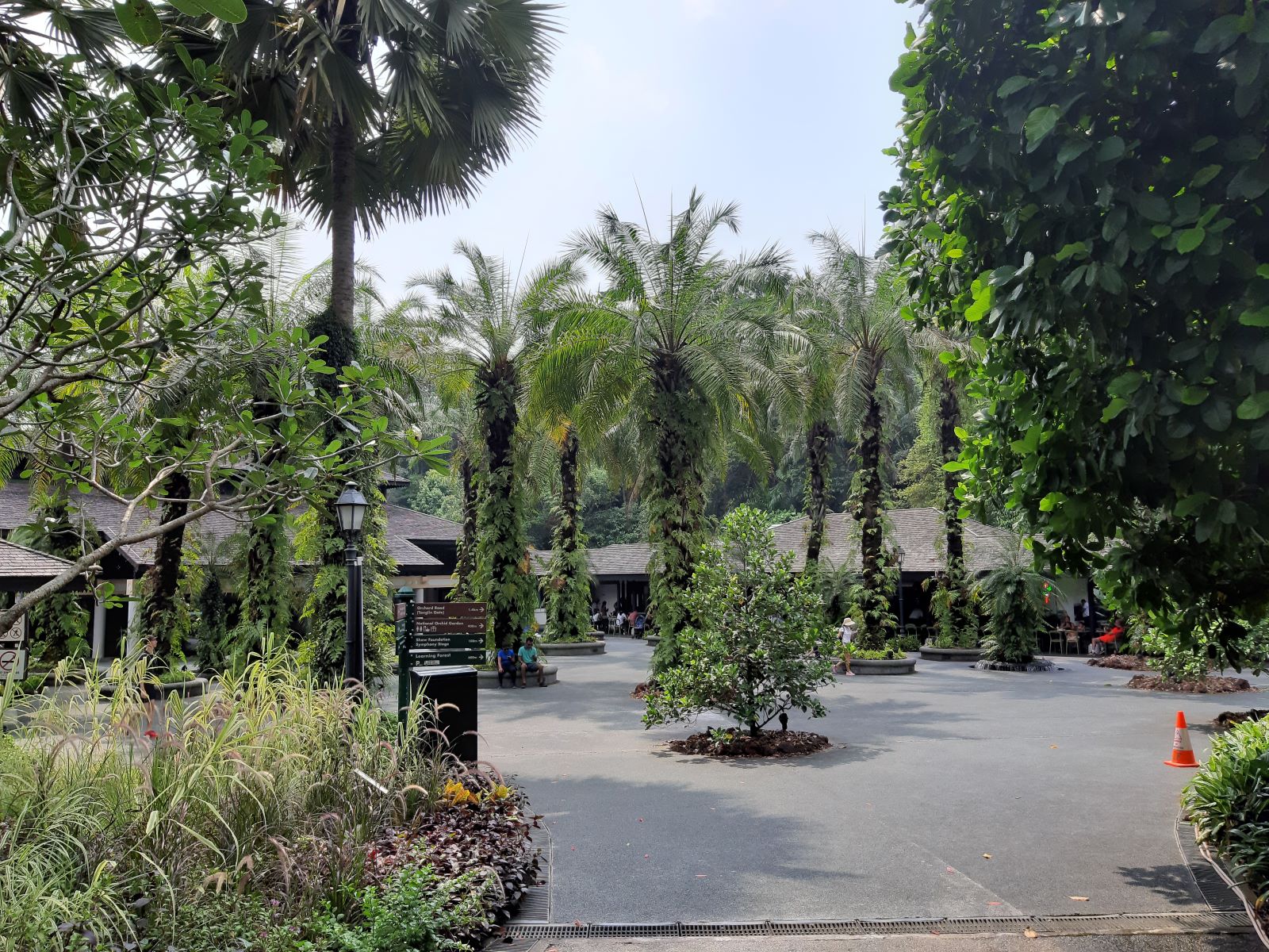 Singapore Botanic Gardens 2.jpg