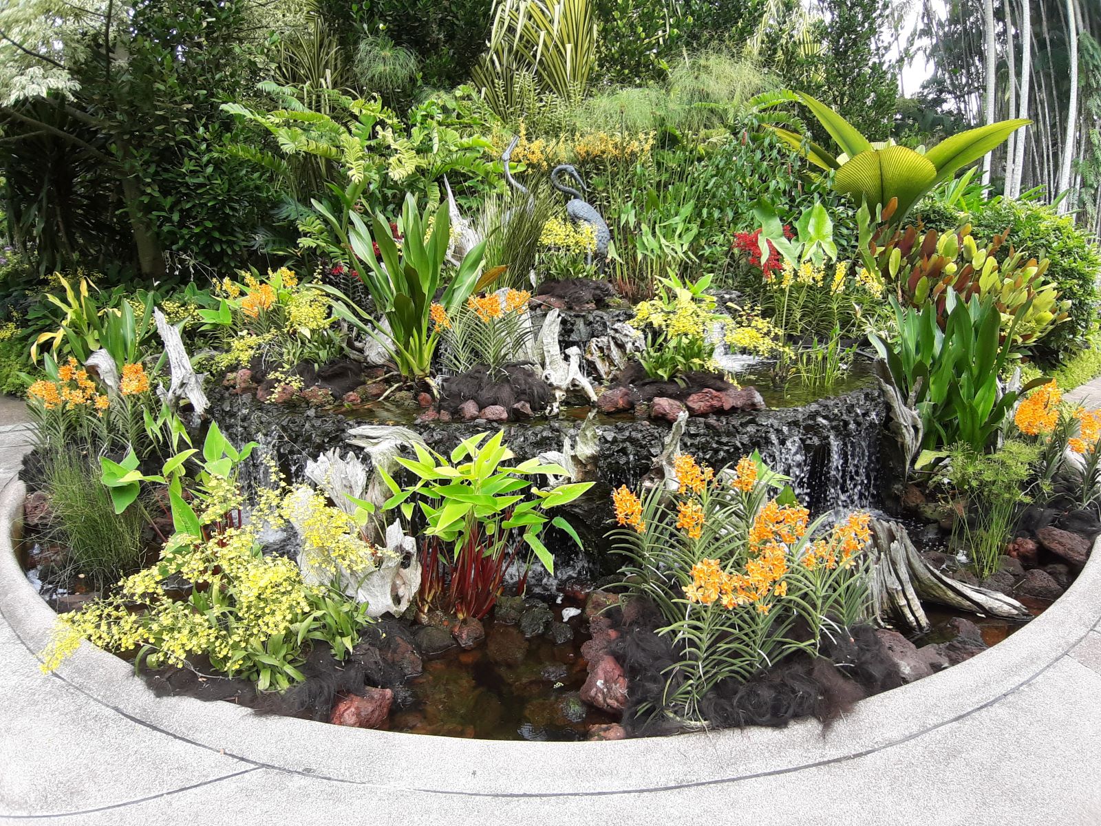 Singapore Botanic Gardens 4.jpg