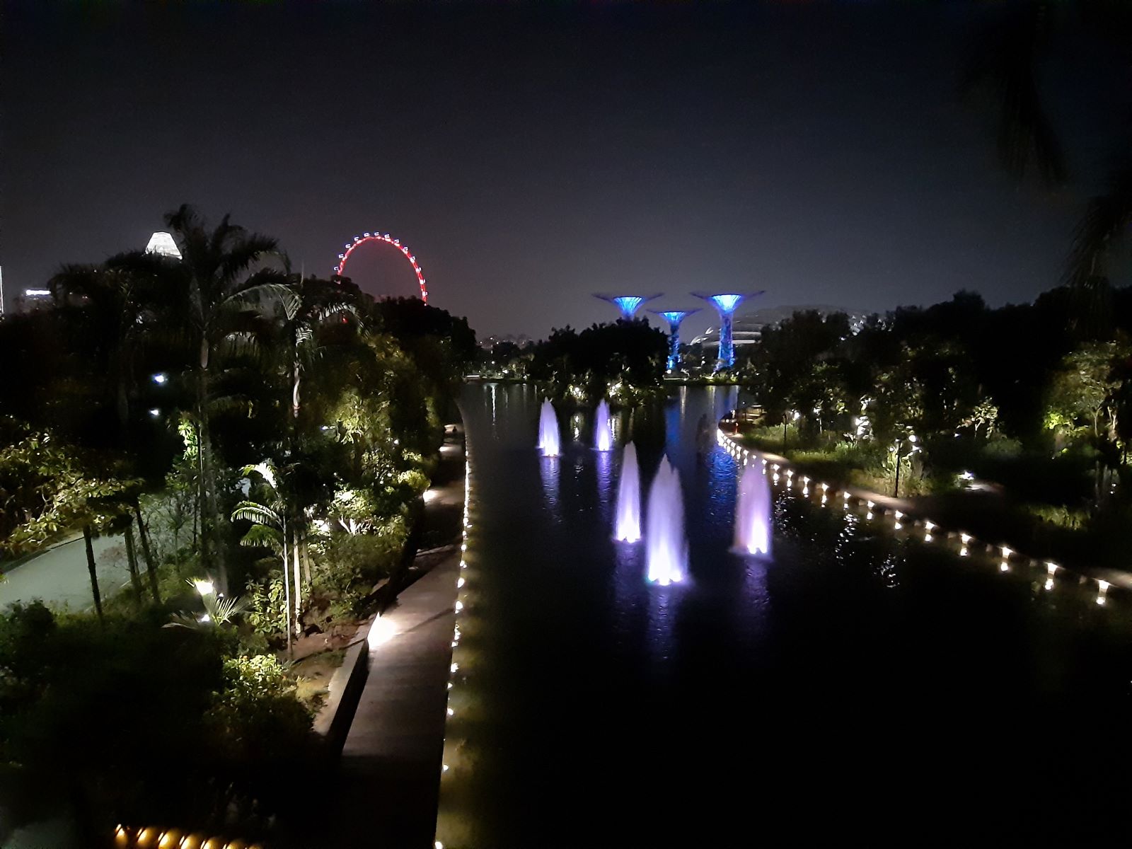Singapore night.jpg