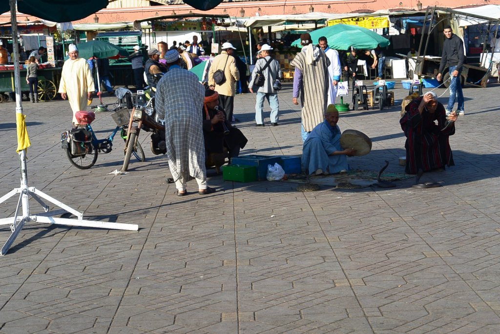 DSC_1120.JPG