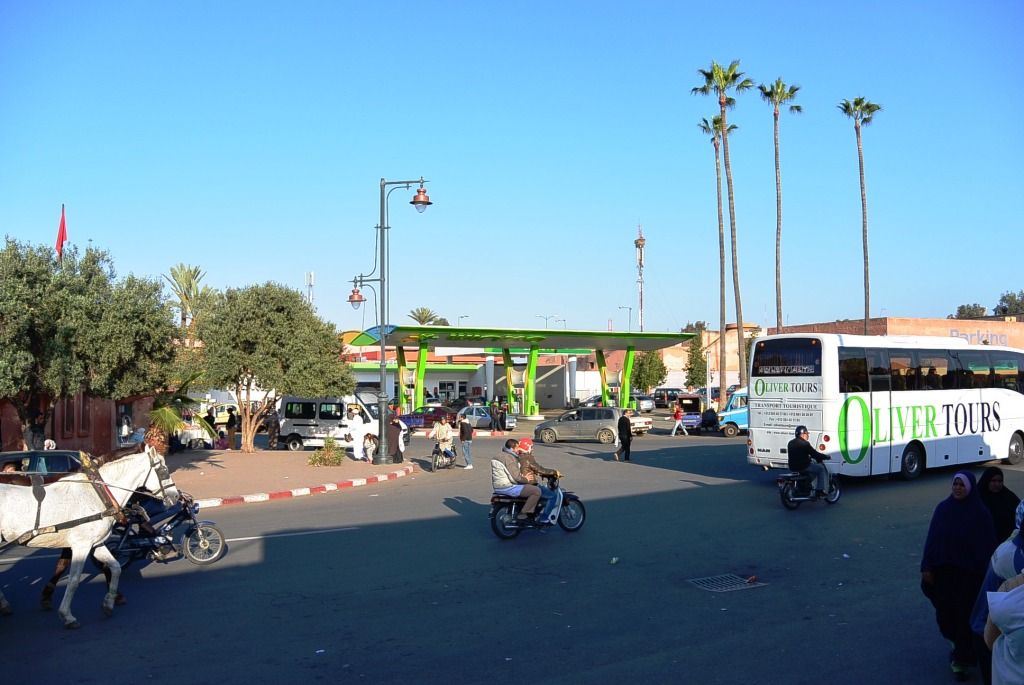 DSC_1122.JPG