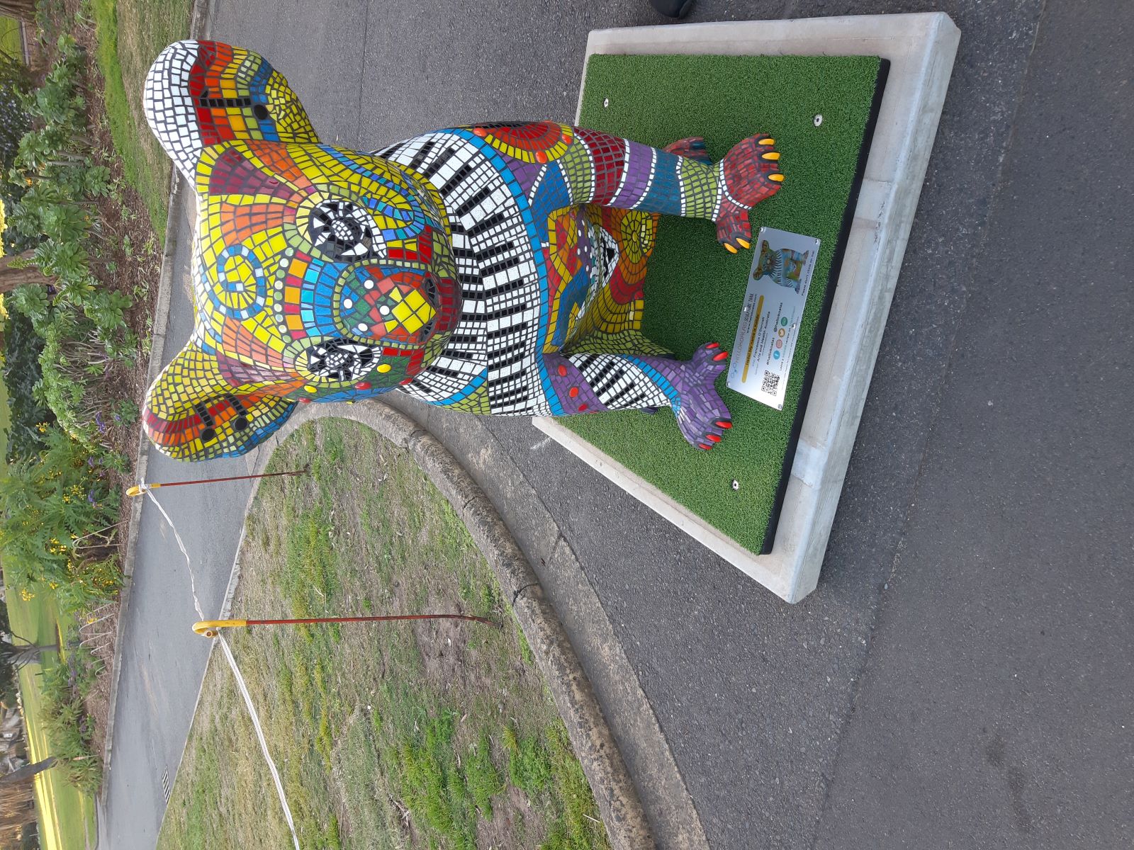 Koala2.jpg