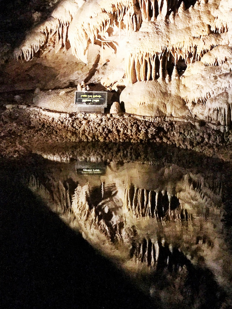 9c.JPG