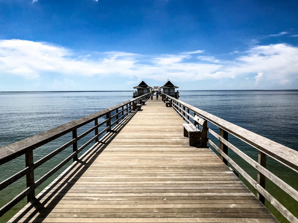 FL_01.JPG