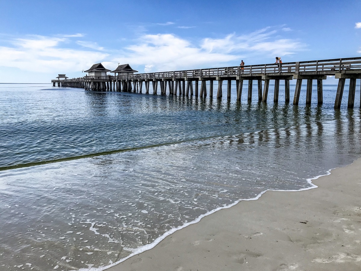 FL_02.JPG