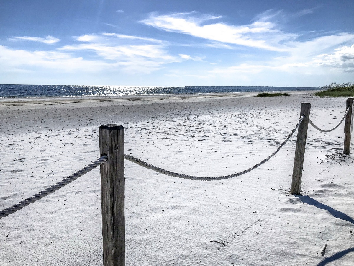 FL_03.JPG