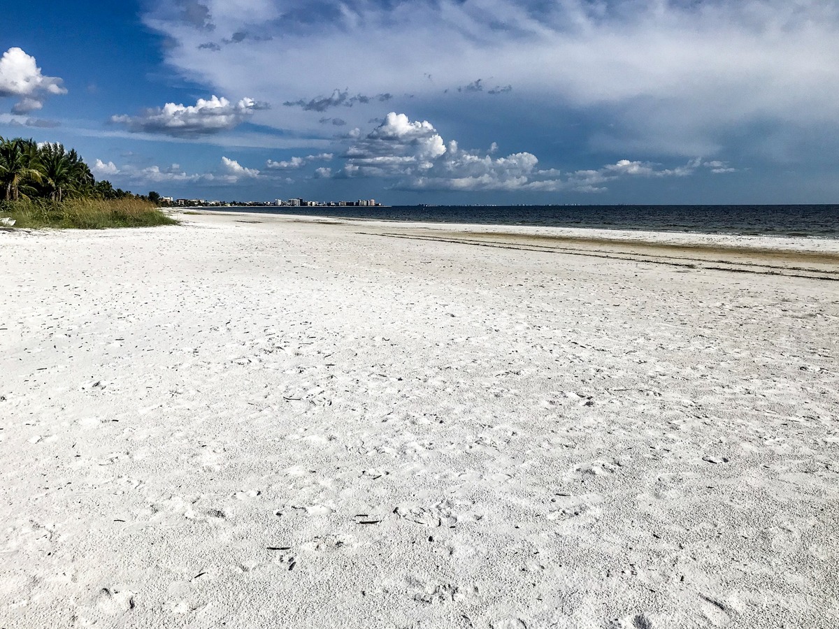 FL_04.JPG