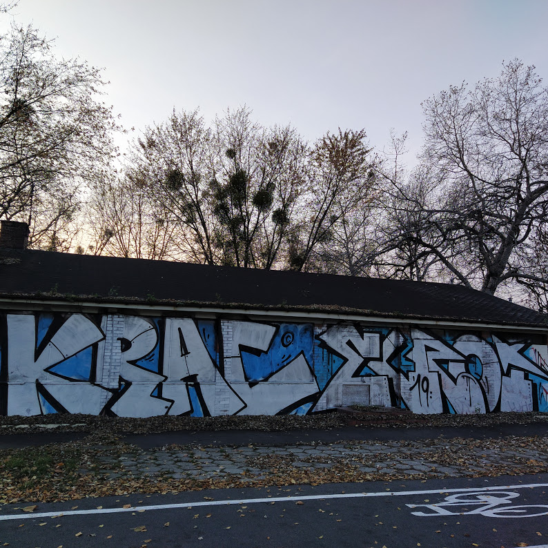jaskółka.jpg