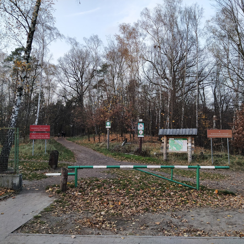 moje wejście.jpg