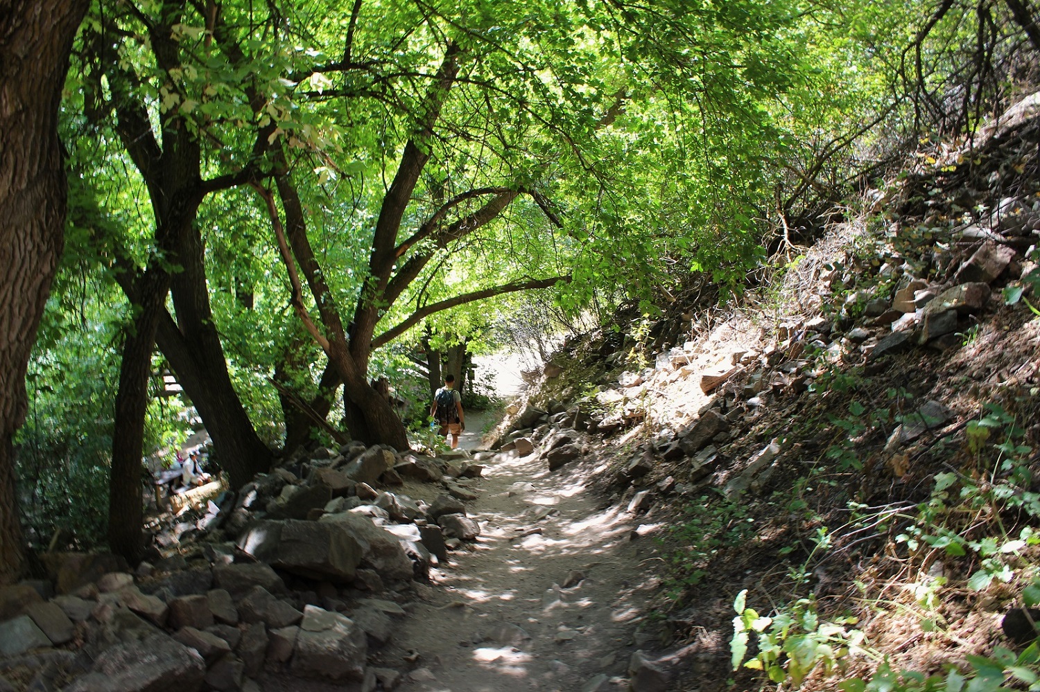 IMG_1669.JPG