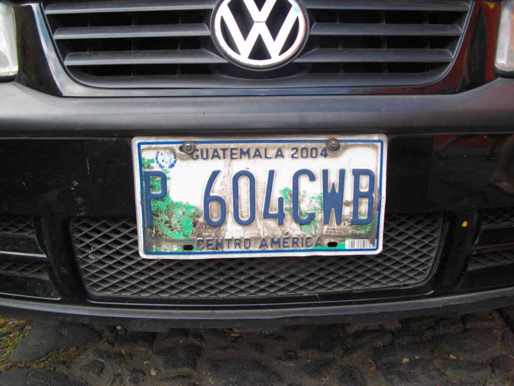 14.JPG
