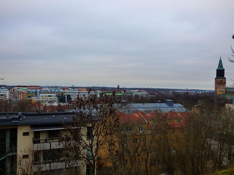 75.jpg