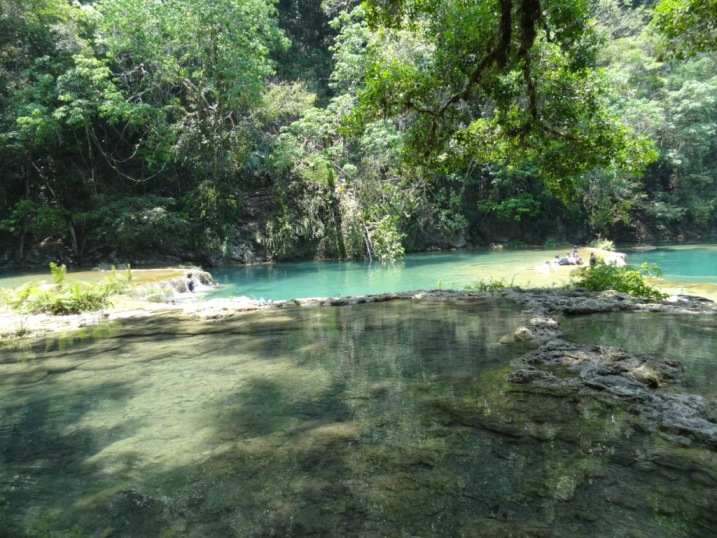 6semuc.JPG