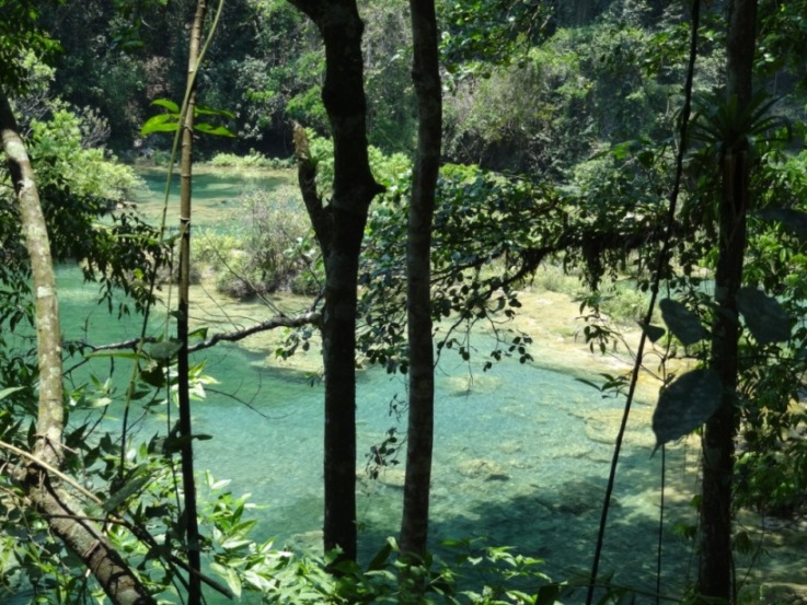 7semuc.JPG