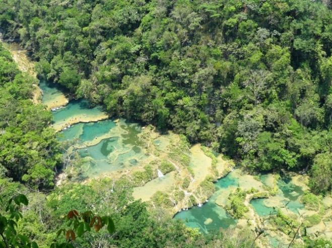 5semuc.JPG