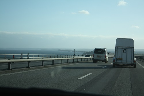 IMG_7933.jpg