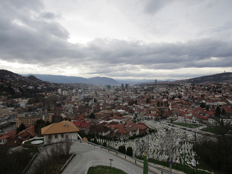 IMG_3016.JPG