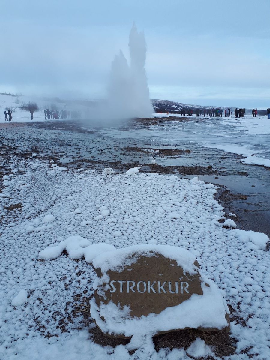 20191207_125002.jpg