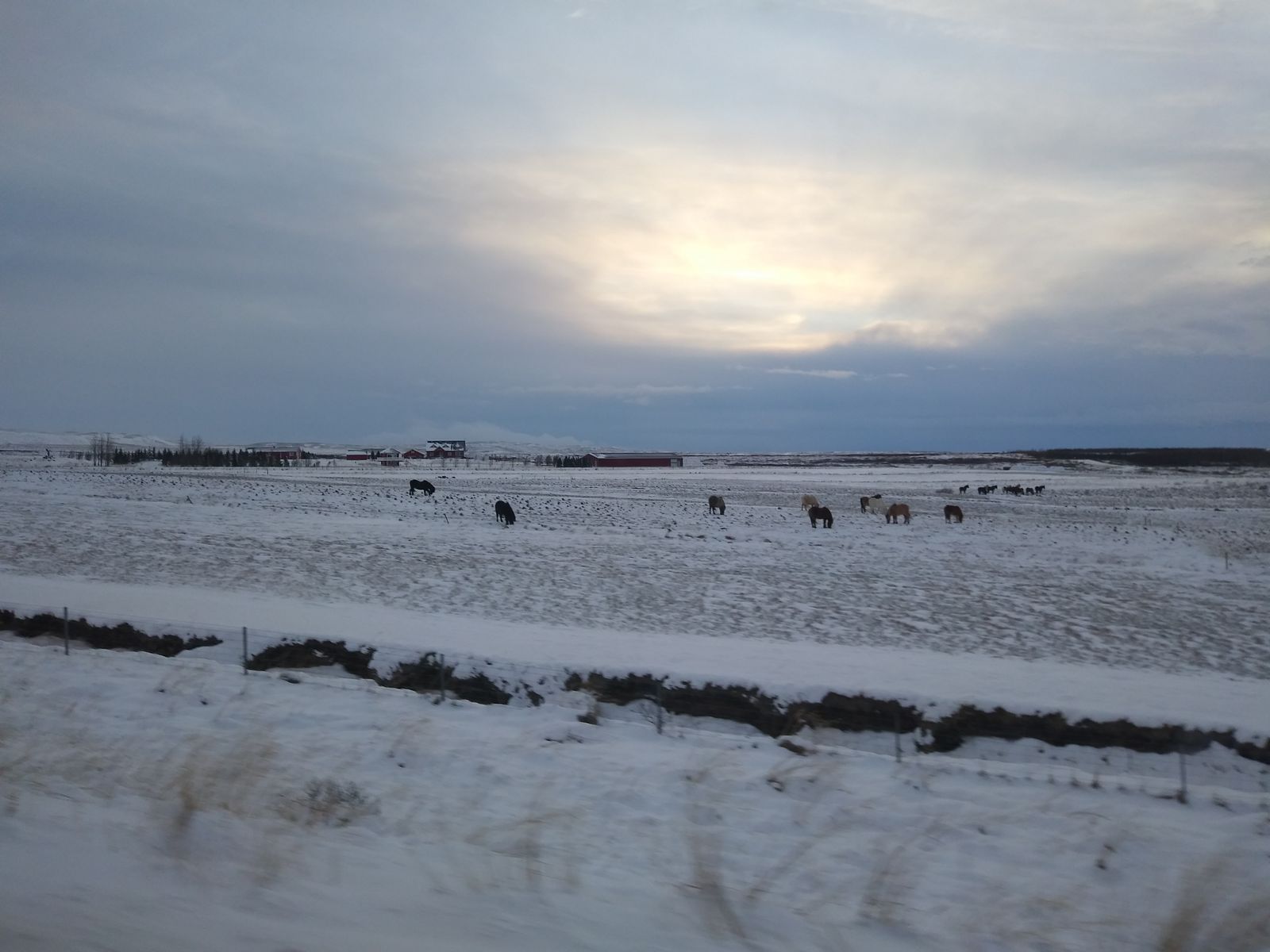 20191207_133112.jpg