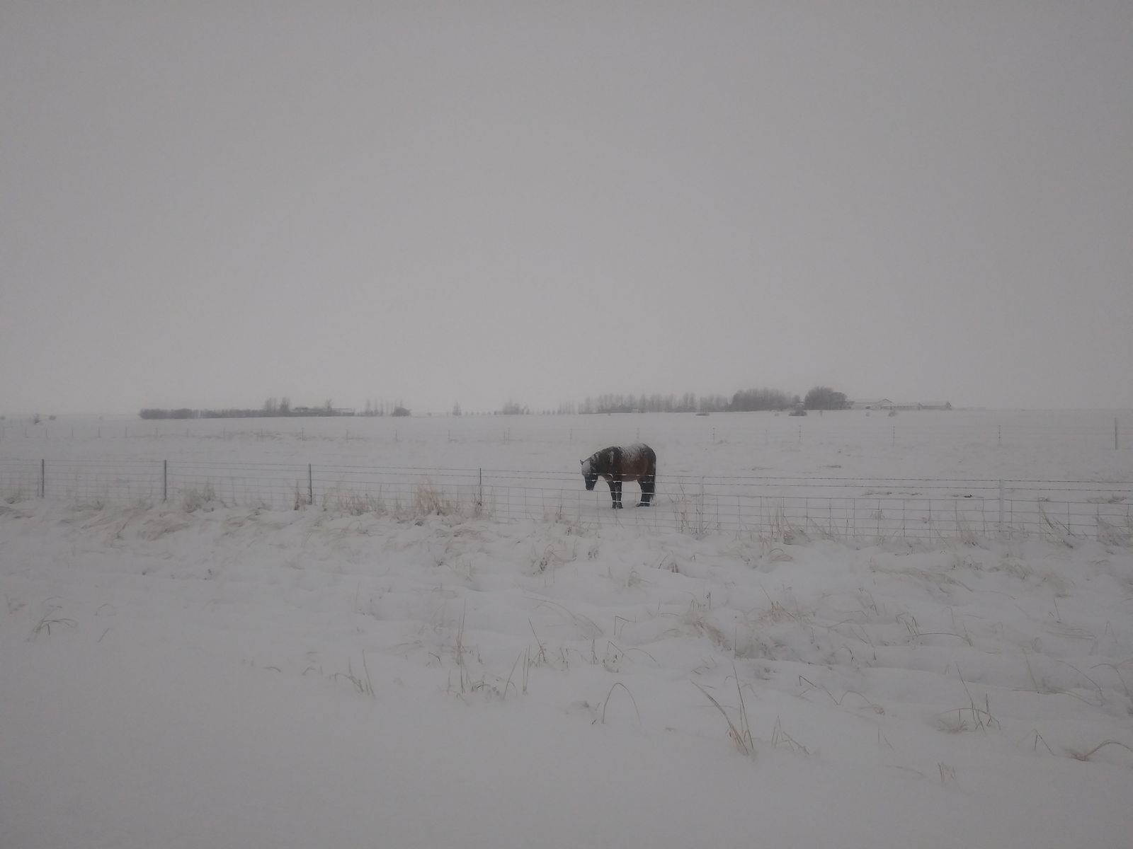 20191209_134310.jpg