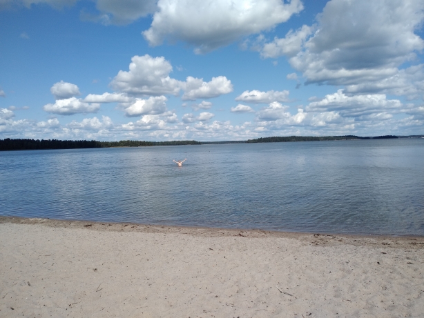 IMG_20190815_125154605.jpg