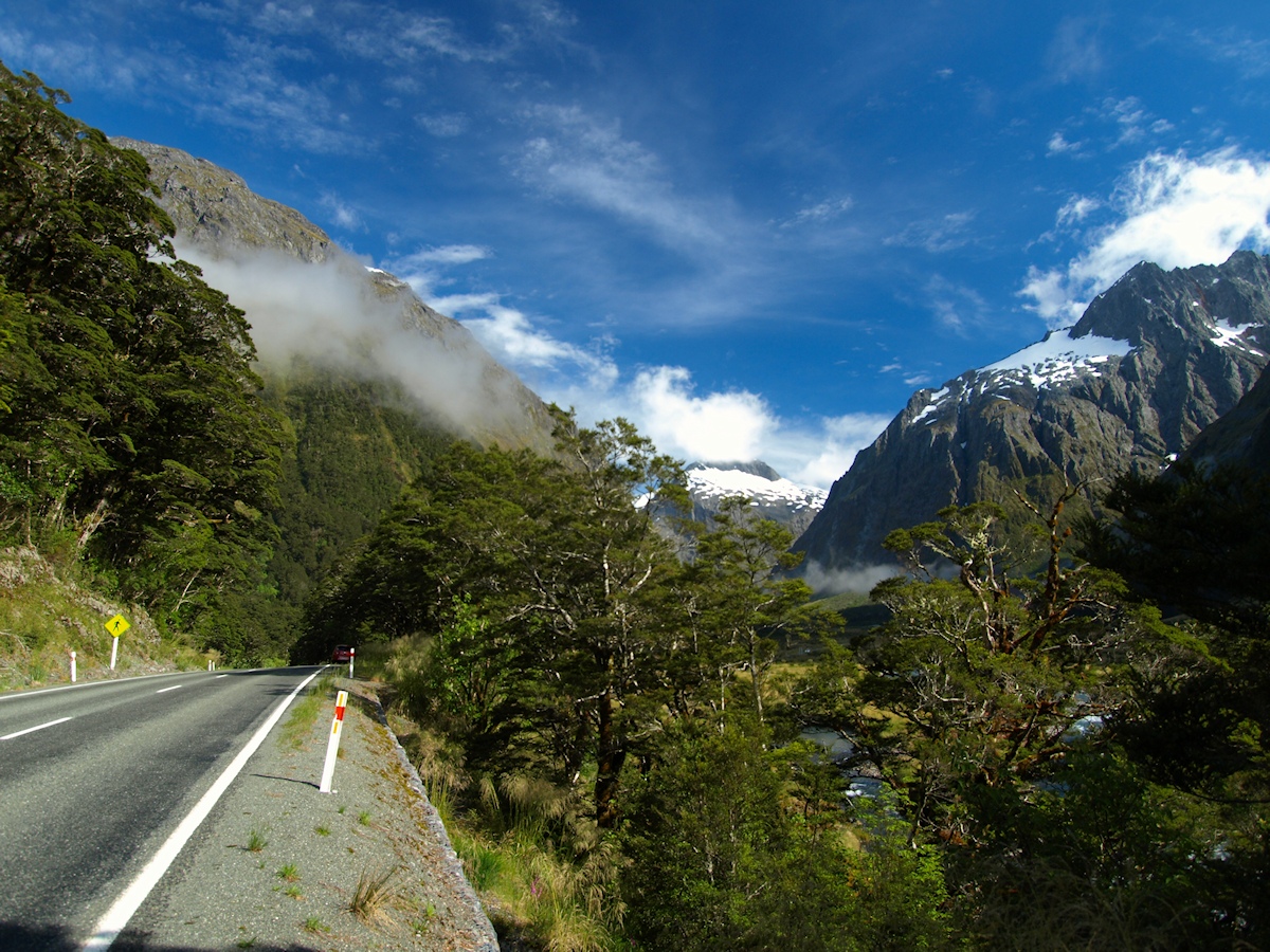NZ.jpg