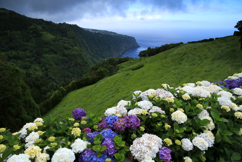 23-IMG_4667.JPG